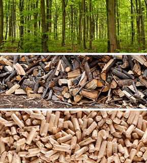 trees, wood logs, and pellets